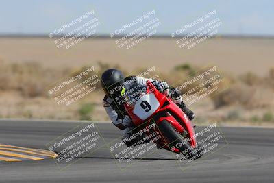 media/Mar-11-2023-SoCal Trackdays (Sat) [[bae20d96b2]]/Turn 16 (145pm)/